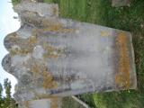 image number C1_124